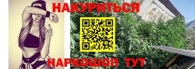 прущие грибы Первоуральск