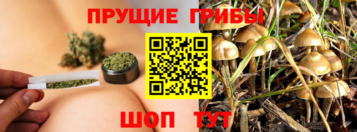 Копейск  купить наркотики сайты  Вход с VPN  Псилоцибиновые грибы Magic Shrooms 