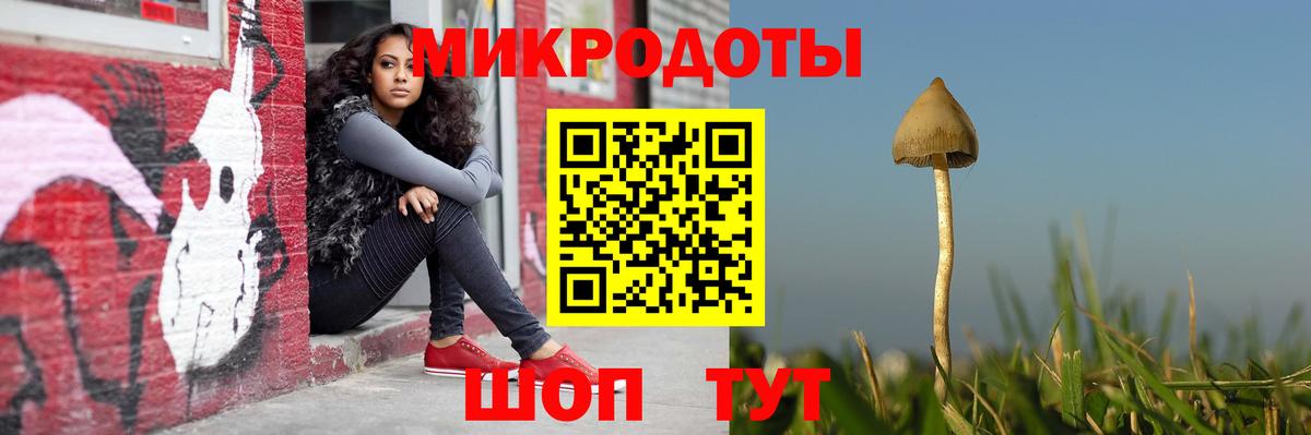 Галлюциногенные грибы Psilocybine cubensis Копейск